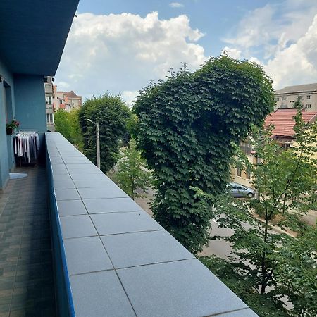 Apartament Very Big Apartment Bistrita  Bagian luar foto